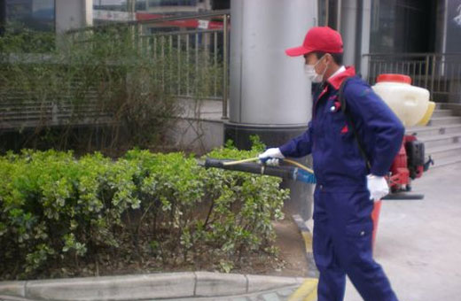 宿遷宿遷蠅類防治